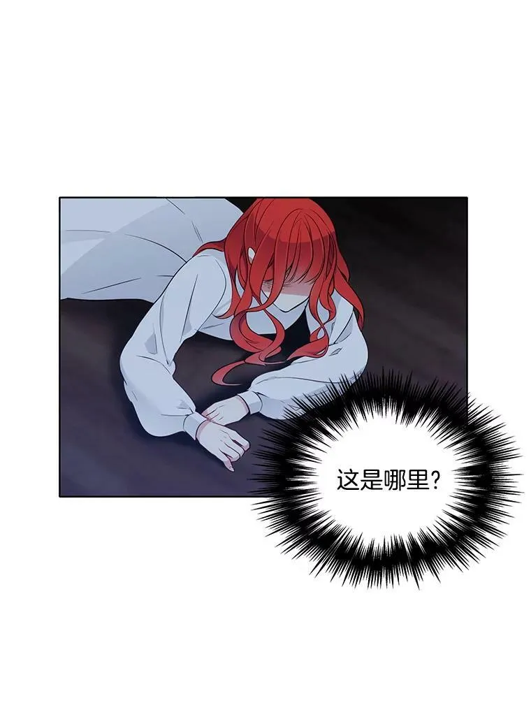 27.真正的凶手 第3页