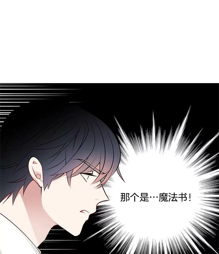 29.魔法书 第3页