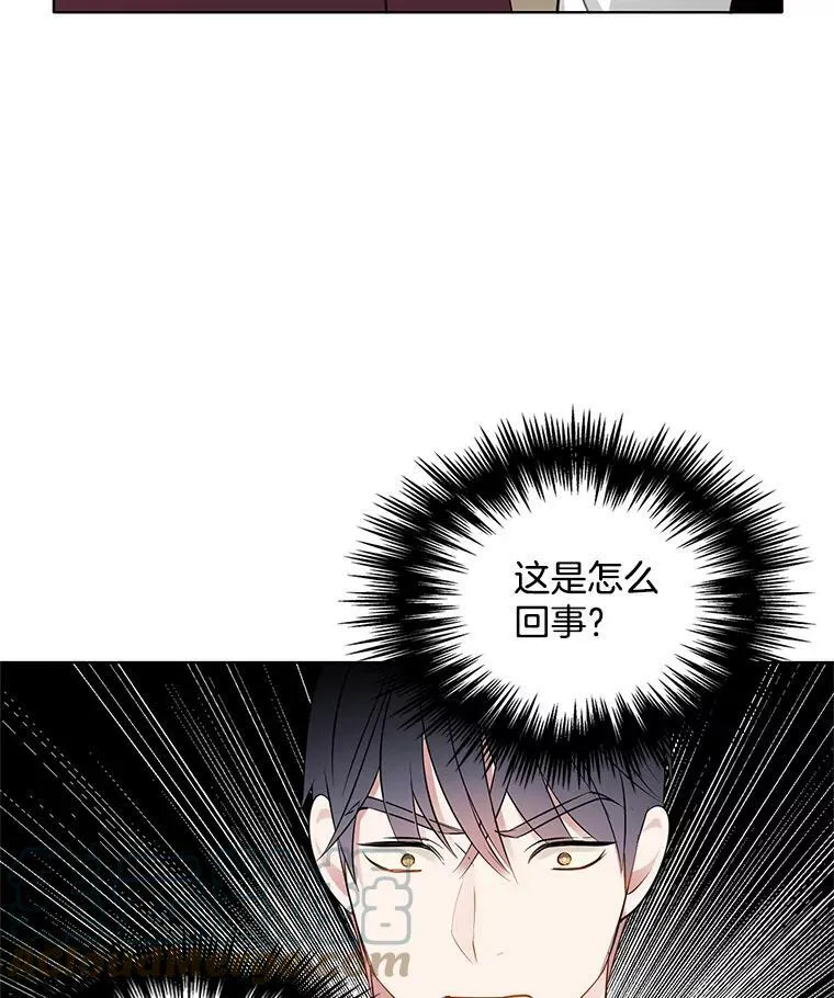 30.跟着里安去首都 第19页