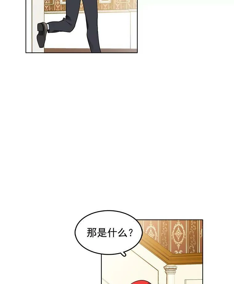 65.独自调查案件 第51页
