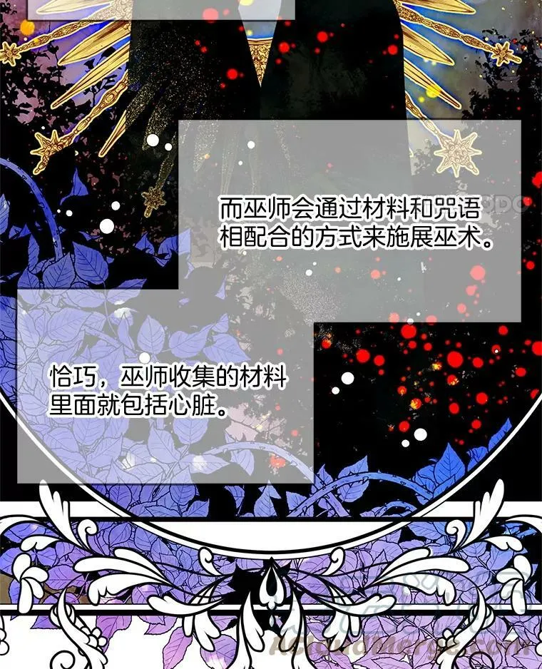 73.魔女挖心的理由 第61页