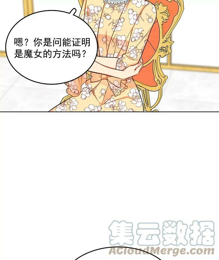 97.辨别魔女的方法 第43页