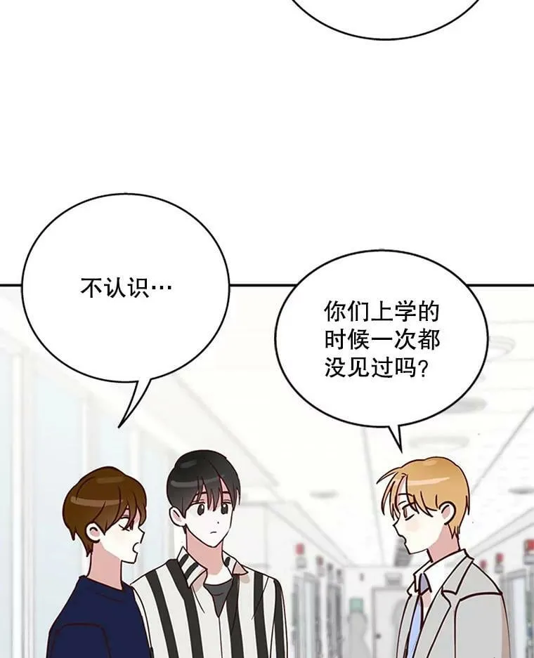 4.原来我们是校友 第79页