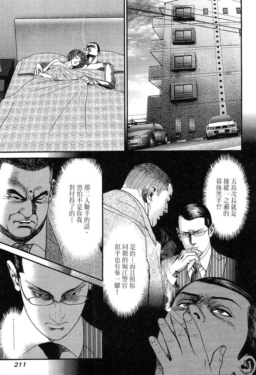 电子版23 第213页