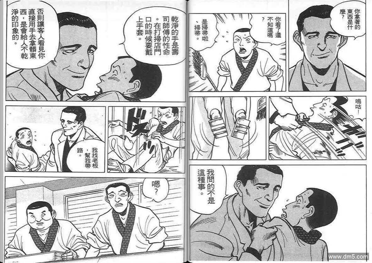 第8卷  第96页