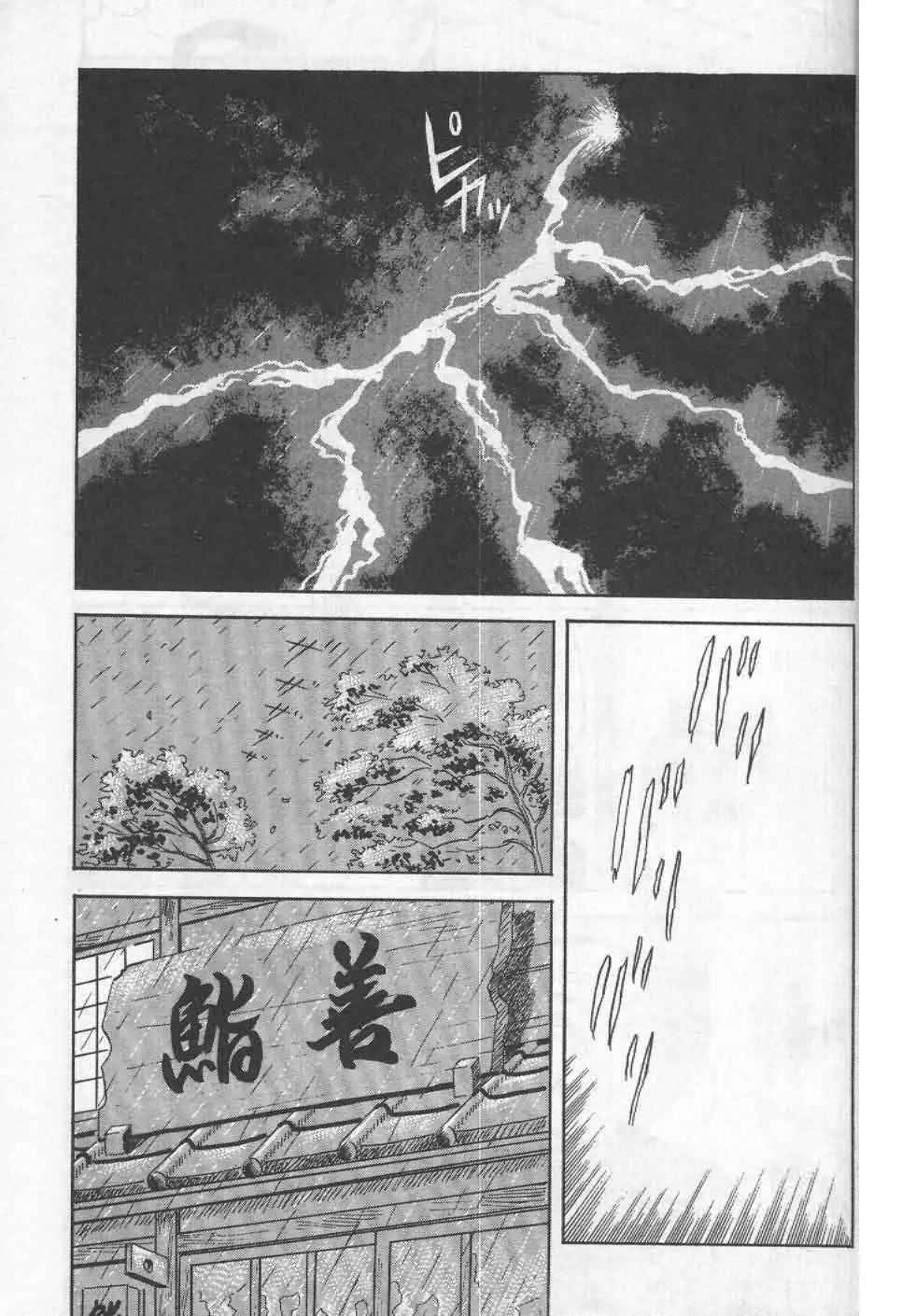 第19卷  第48页