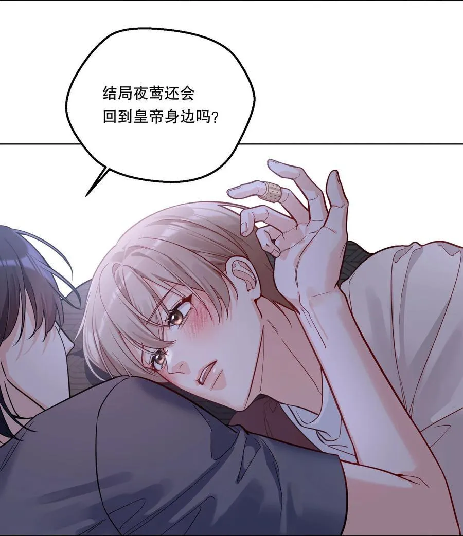 025 仅此一夜！ 第29页