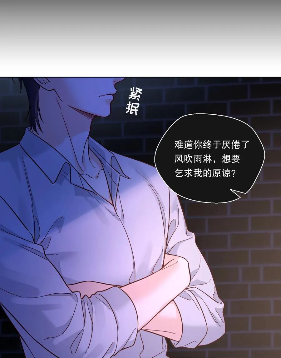 030 留下吧，小鸟！ 第16页