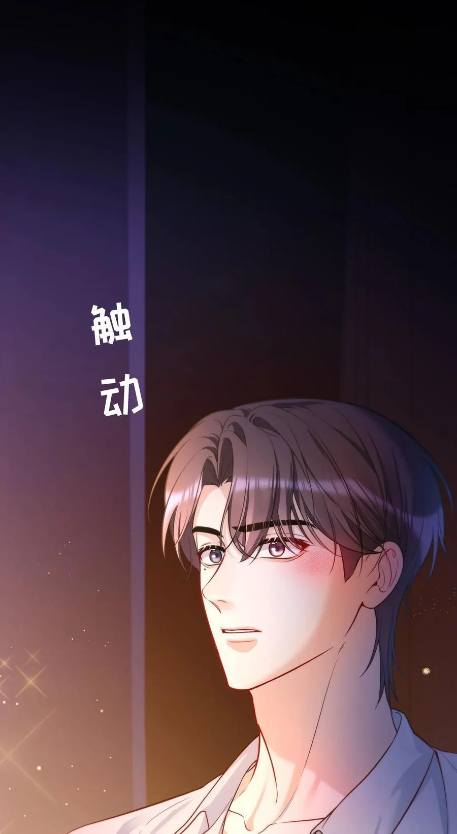030 留下吧，小鸟！ 第36页