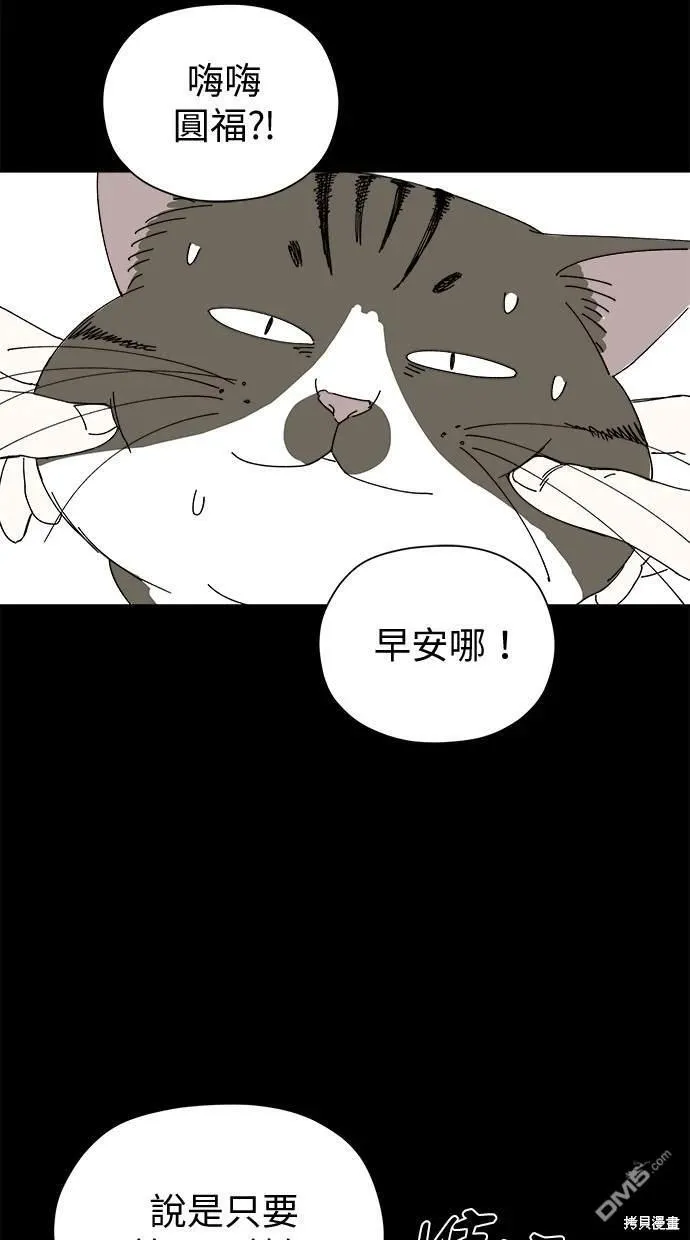 第40话 第41页