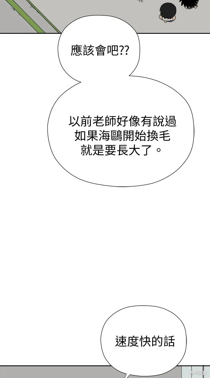 第50话 第17页