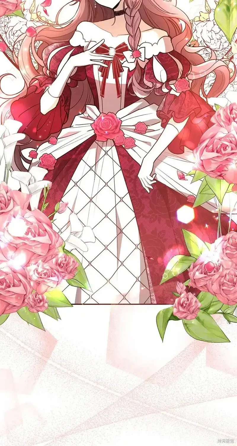 17 第42页