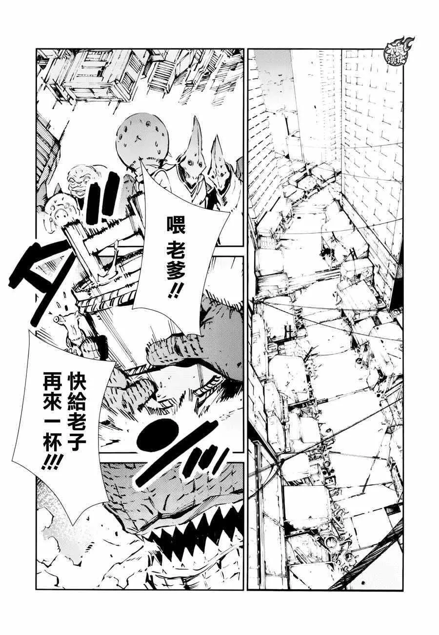 51 第13页