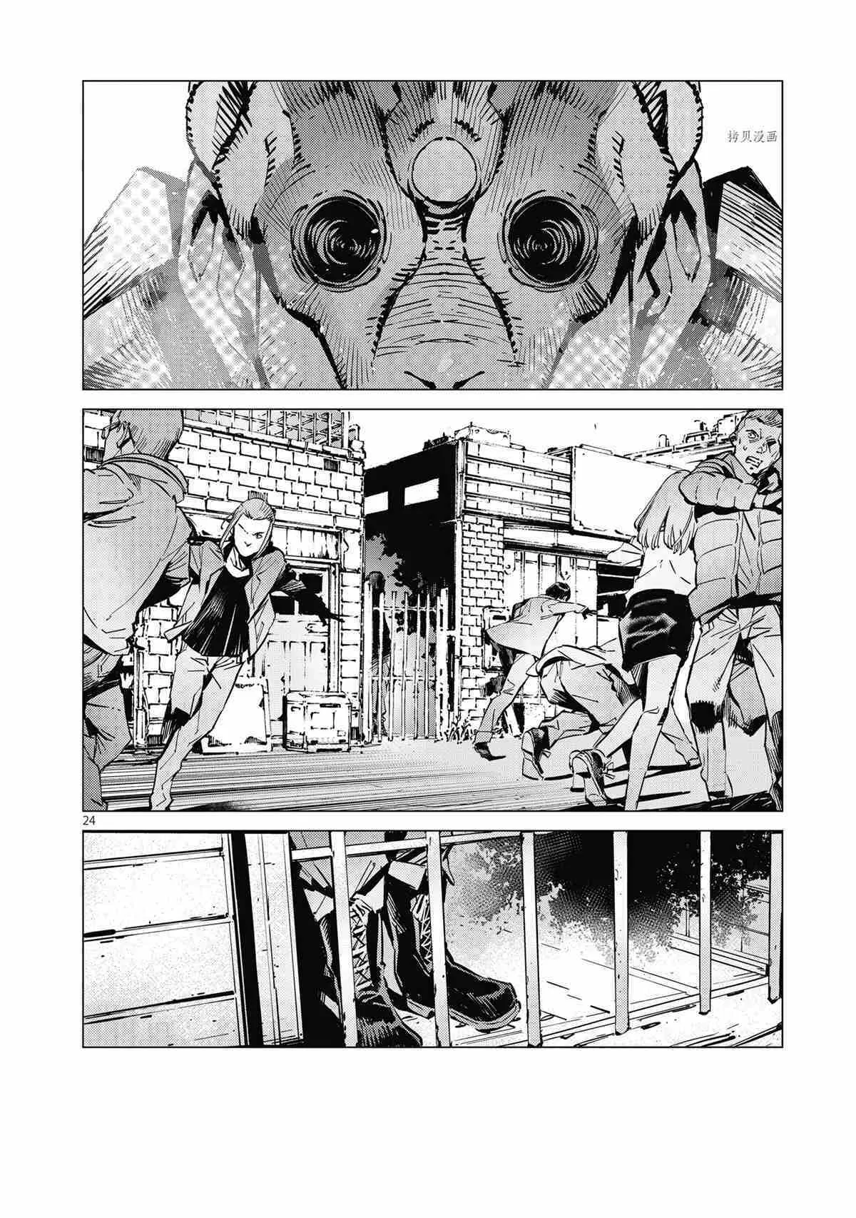 116 第24页