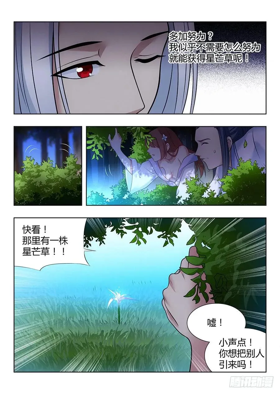 049星芒草里真的有星芒吗？ 第3页