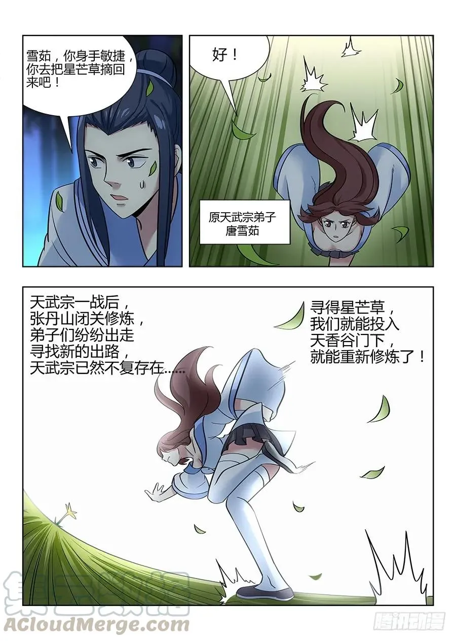 049星芒草里真的有星芒吗？ 第4页