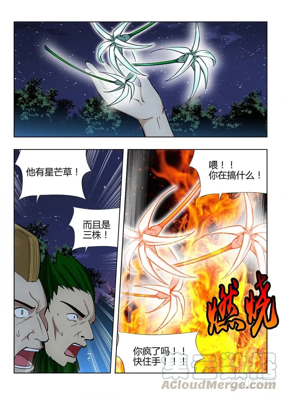 049星芒草里真的有星芒吗？ 第16页