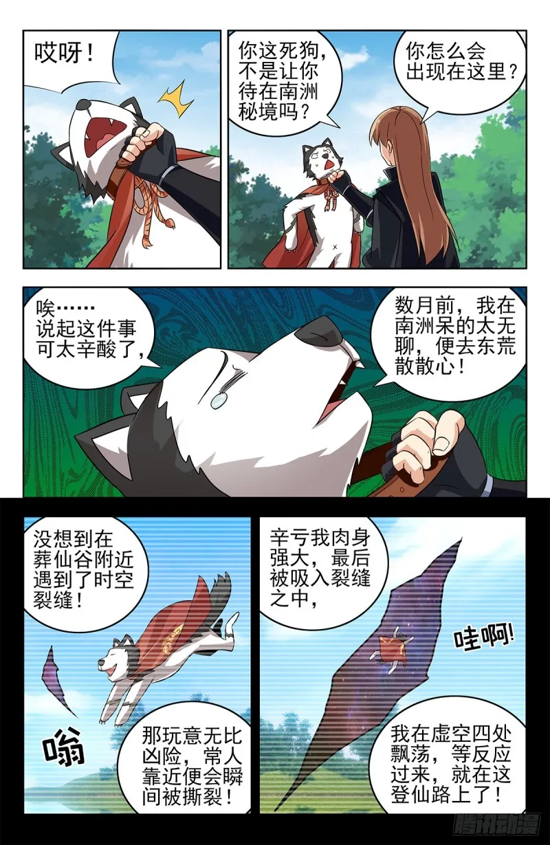 277Freestyle 第11页