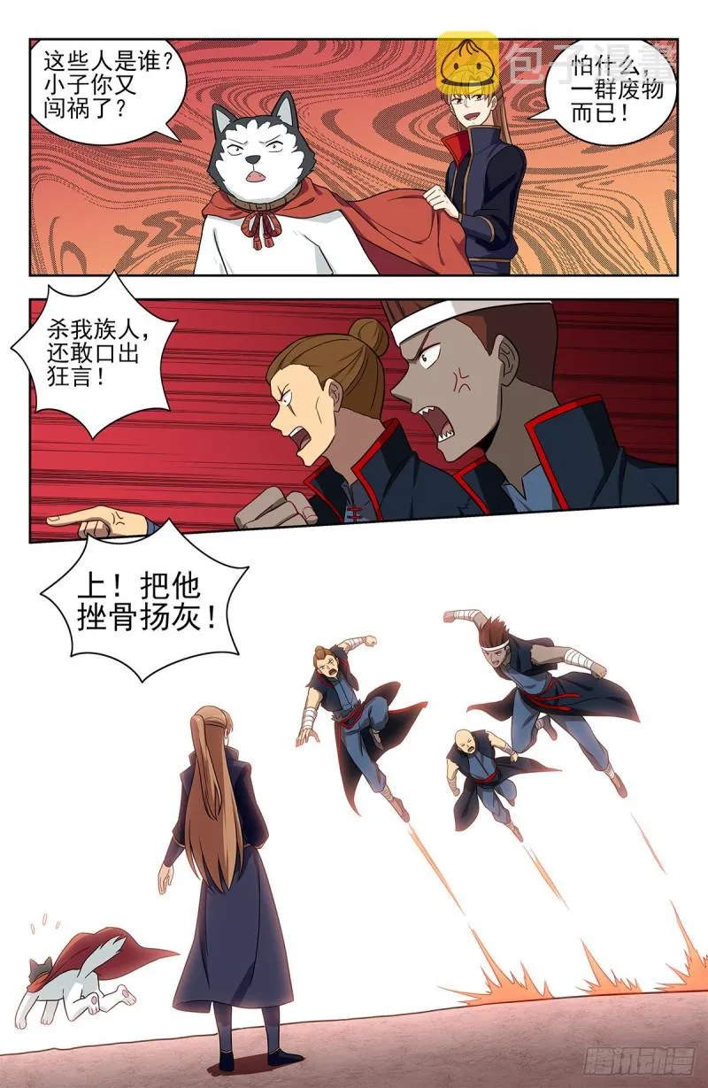 322灵道石 第13页