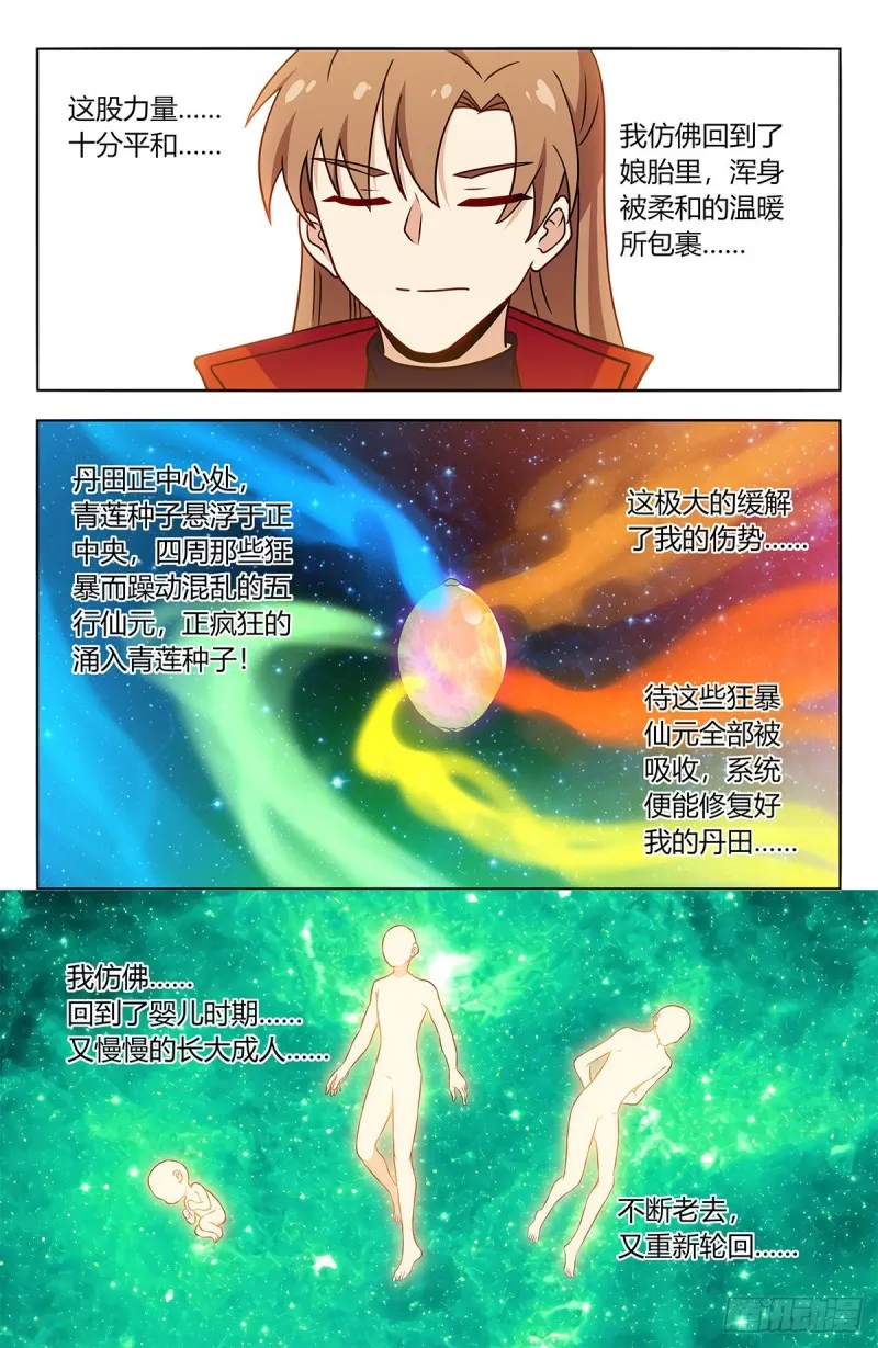 385青莲种子 第3页