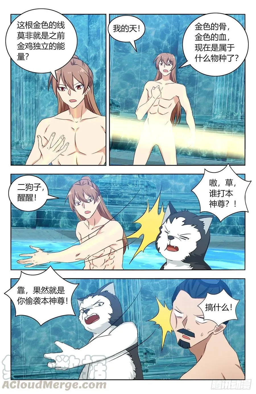 430金枝玉叶池 第12页