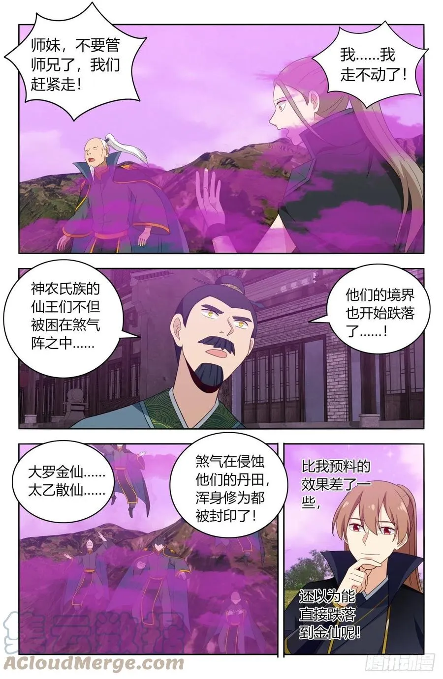 496阴死你们 第12页