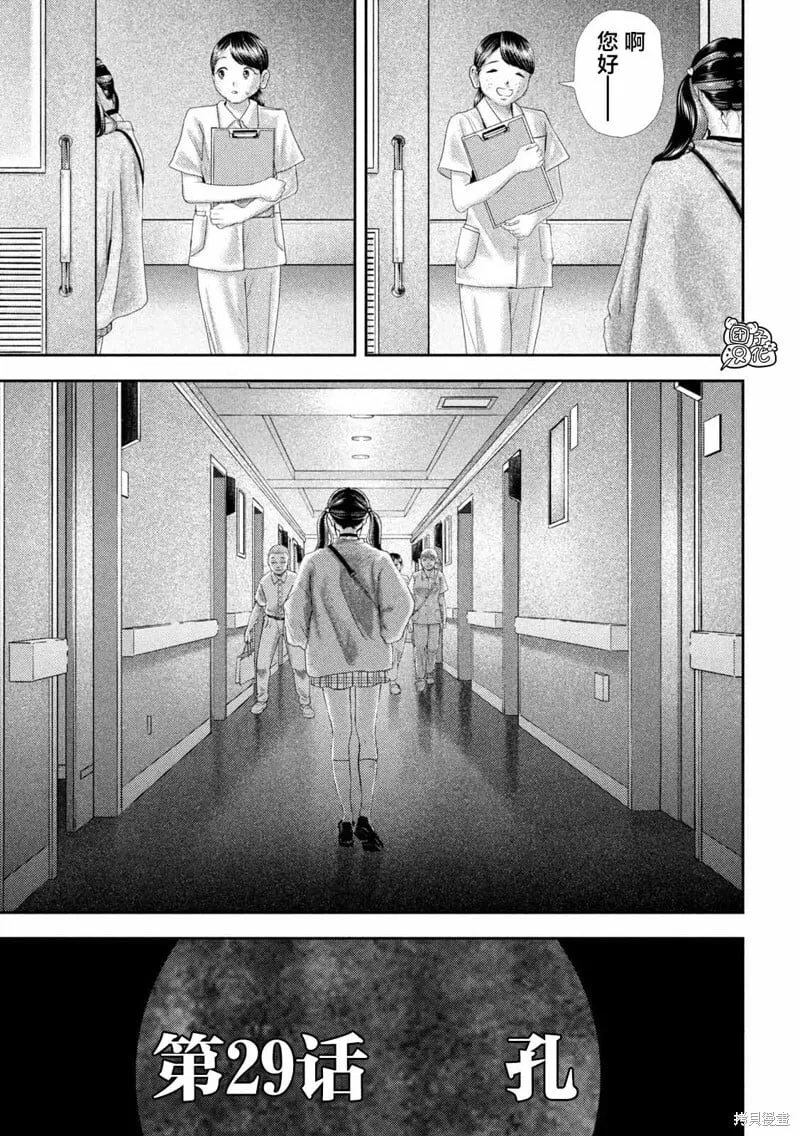 29 第3页