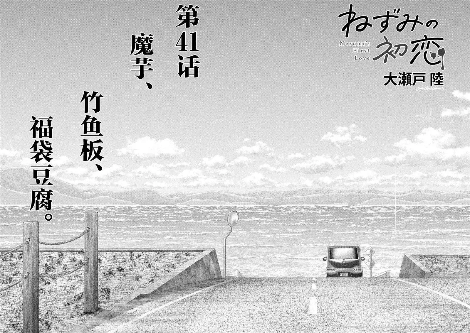 41 第2页