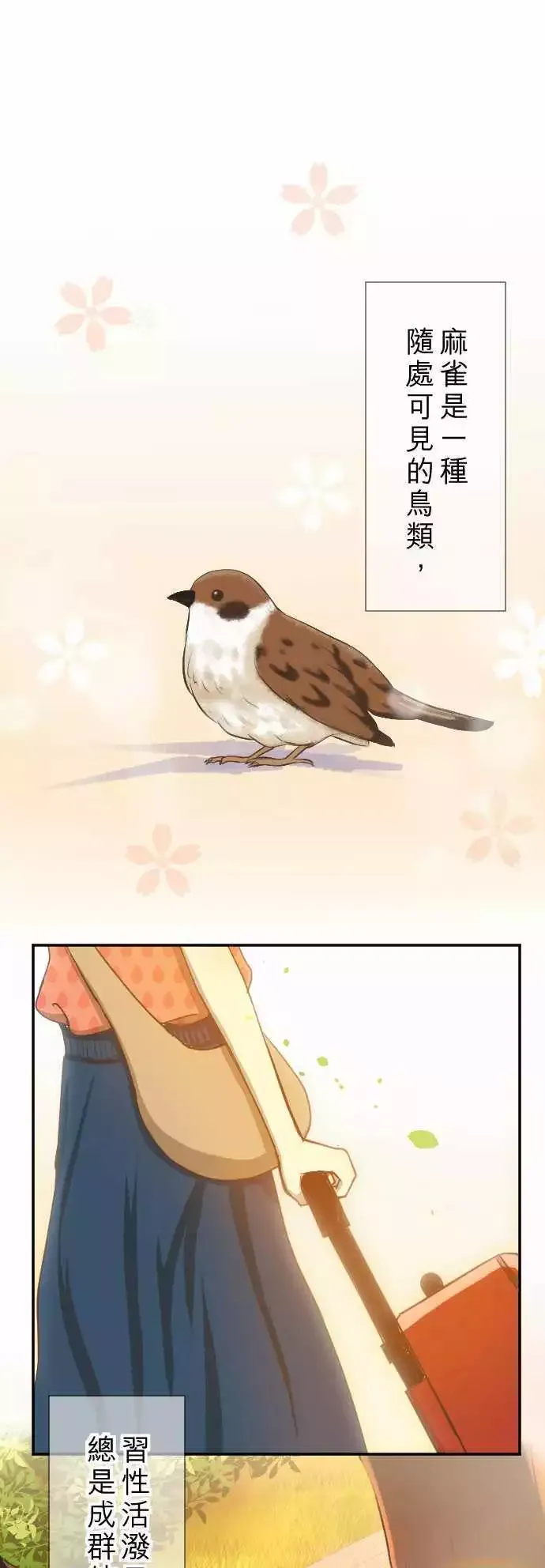 第01回 麻雀 第1页