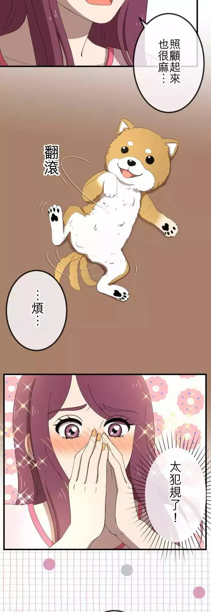 第46回 收养 第11页