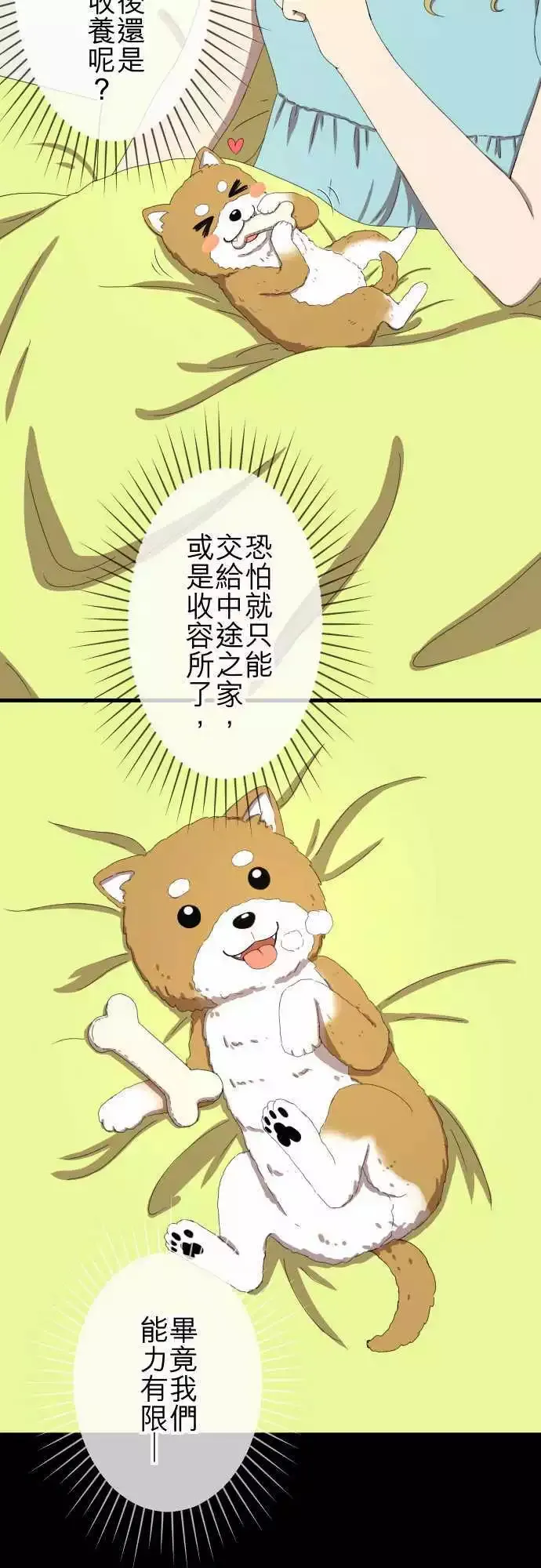 第46回 收养 第16页