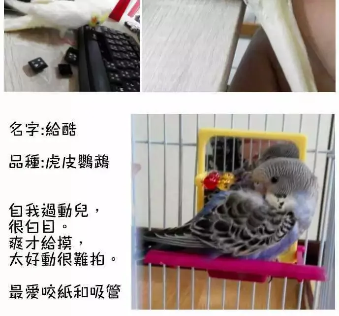 第50回 目击 第23页