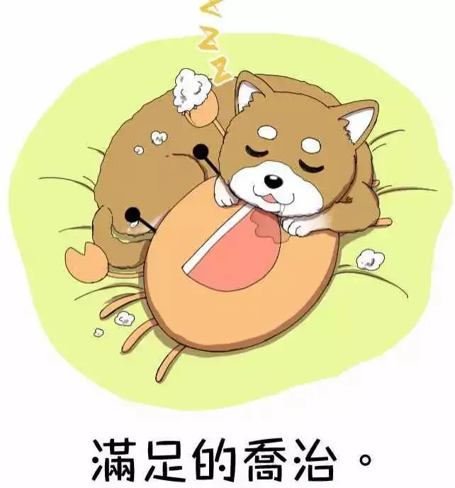 第57回 支持 第21页