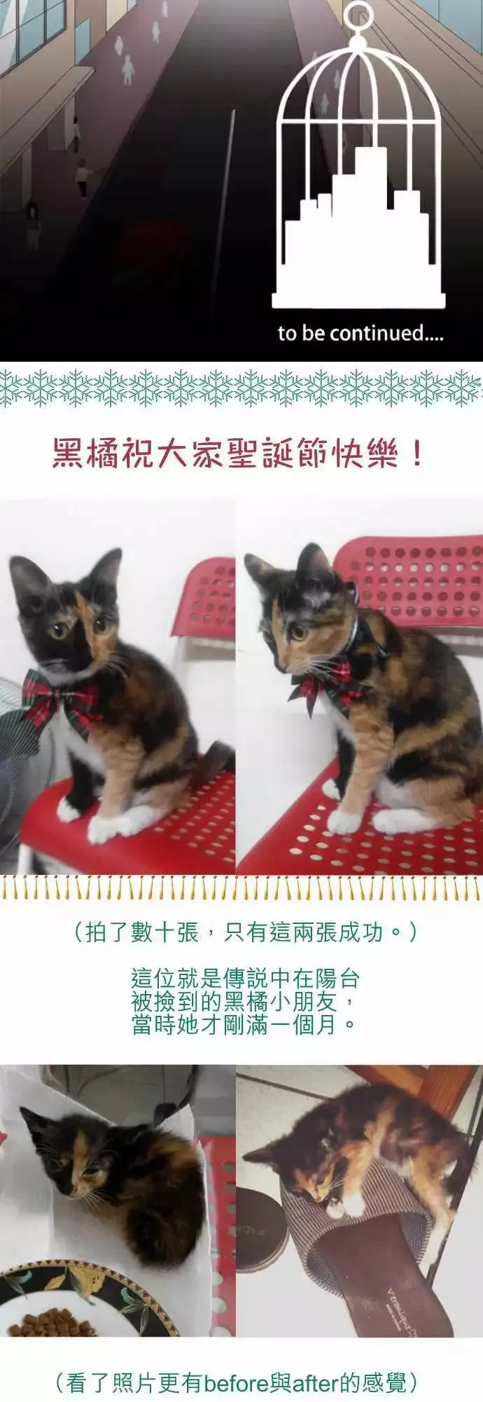 第63回 缘由 第20页