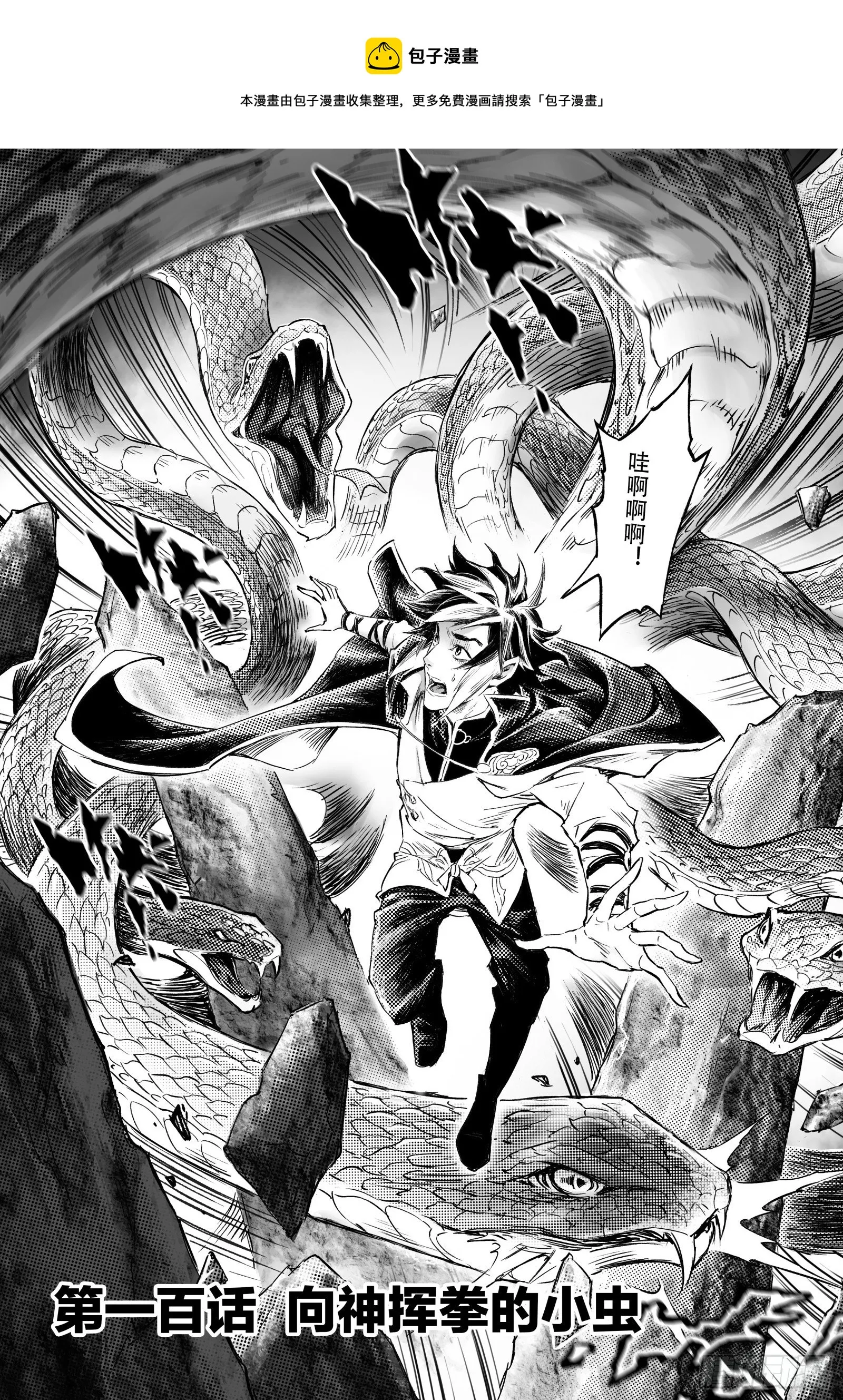 100.向神挥拳的小虫-上 第1页