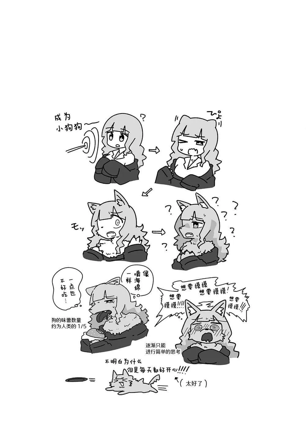 25.5 第10页