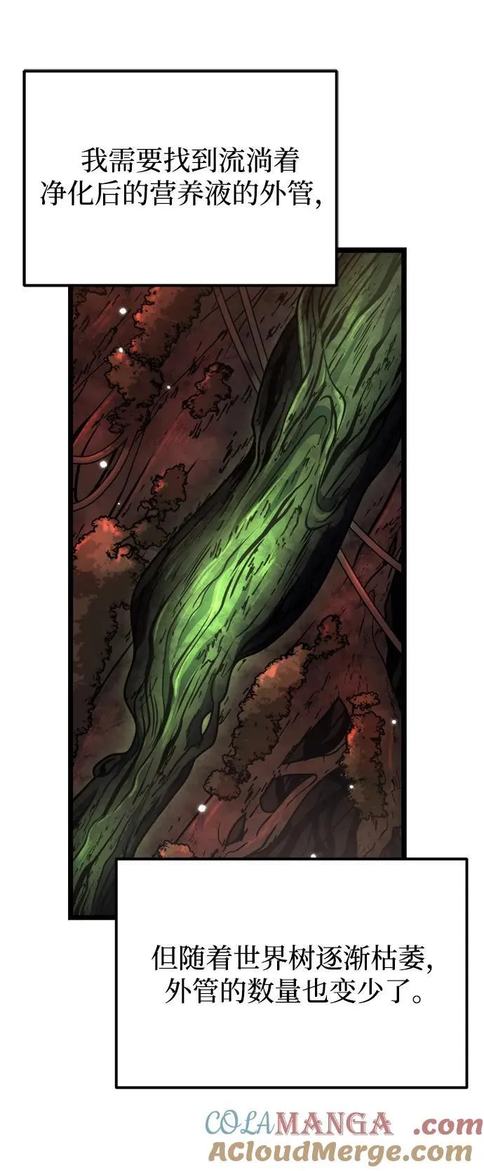 第53话 扩德拉图斯（4） 第5页