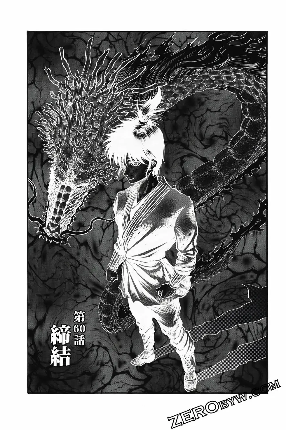 第10卷 第52页
