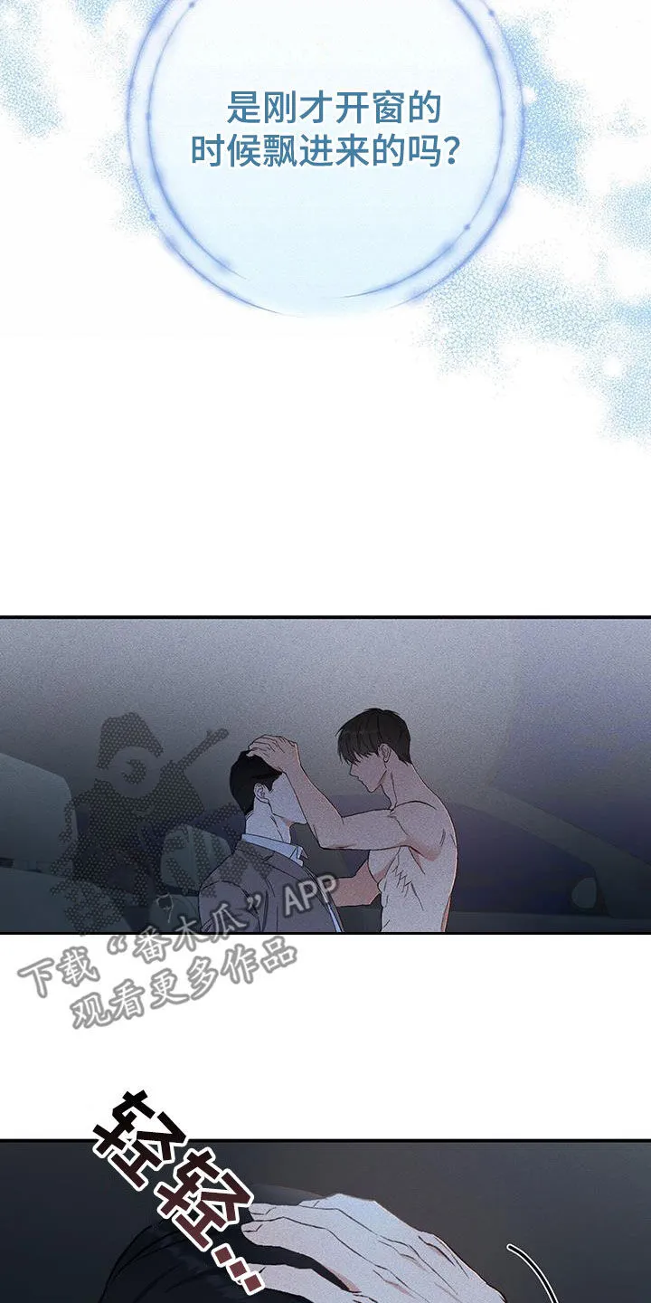 第30章：不像话 第11页