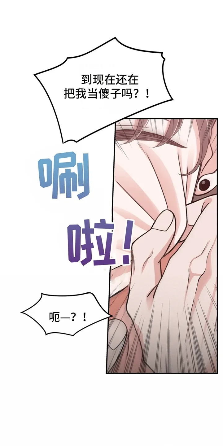 第1章：伪装失败 第13页