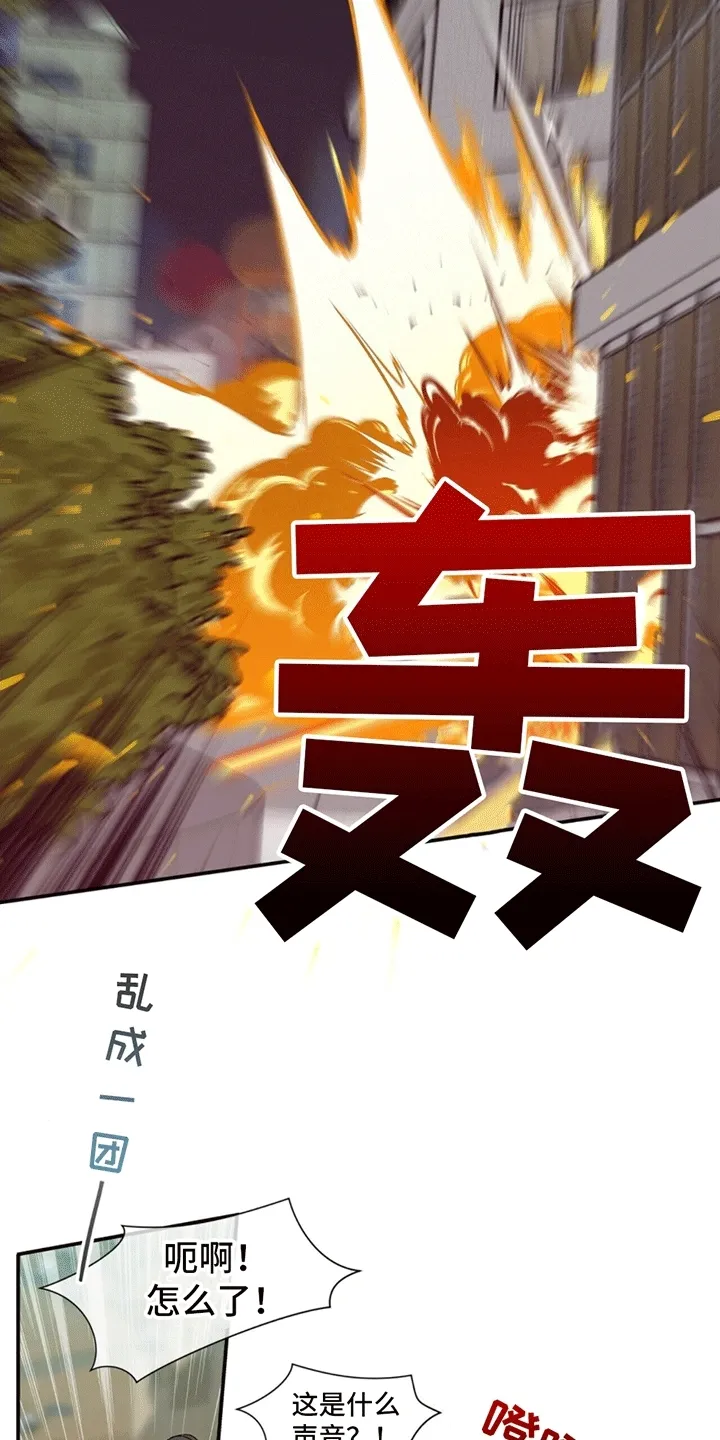 第1章：伪装失败 第36页