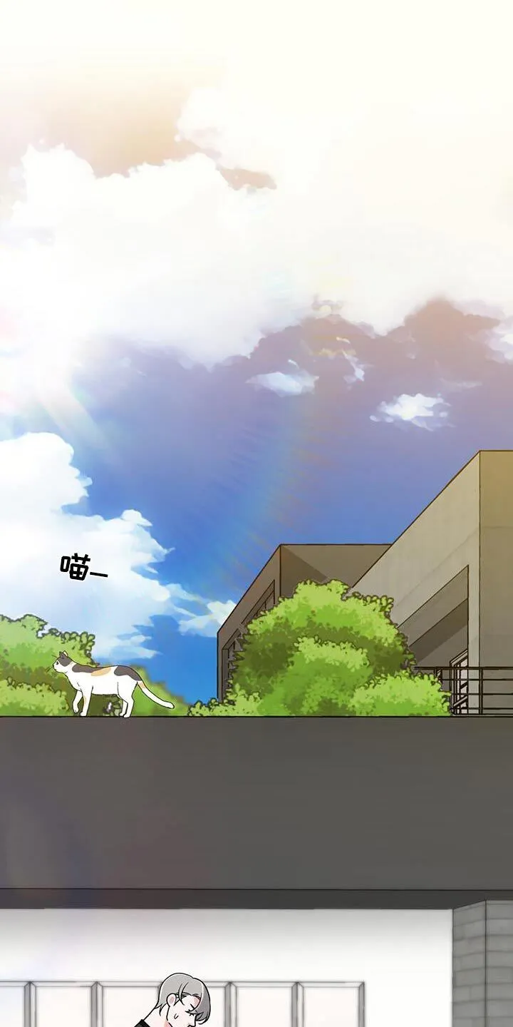 第9章：碰巧 第5页