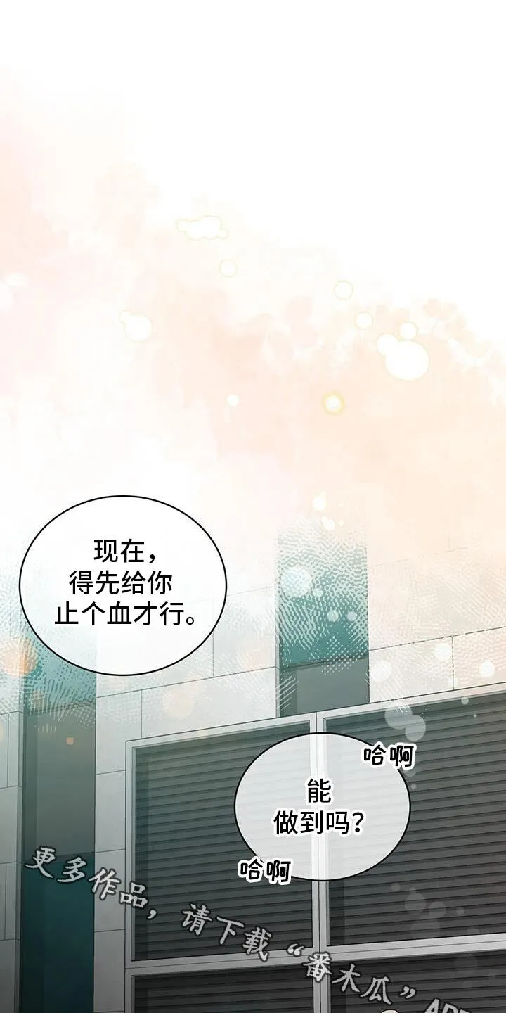 第28章：包扎 第1页