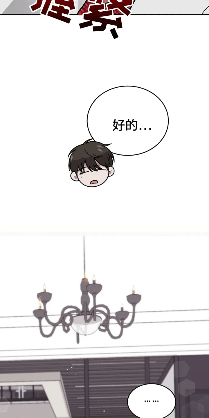 第13章：代表回家 第18页