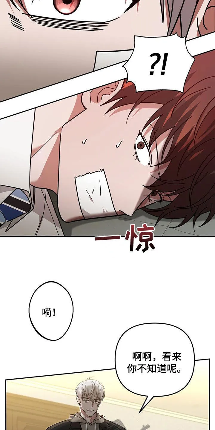 第25章：赌赢了 第22页