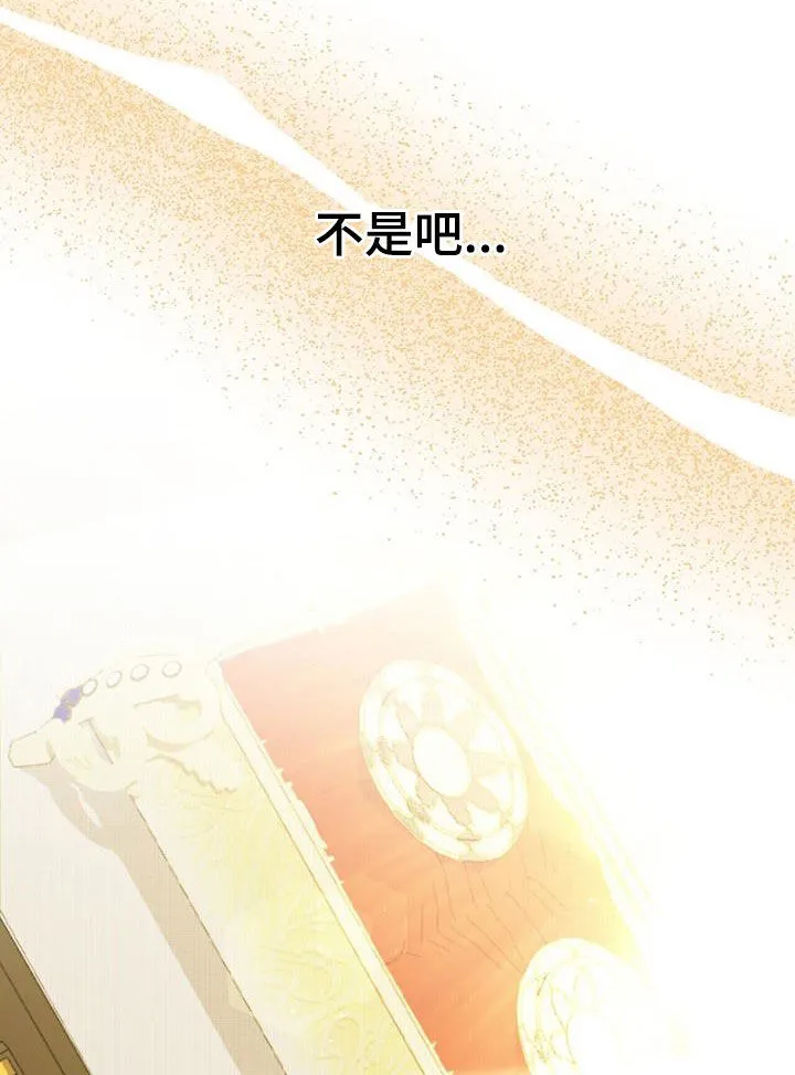 第33章：礼物 第13页