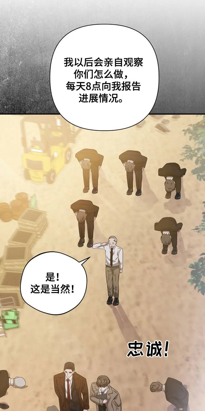 第54章：再次相遇 第17页
