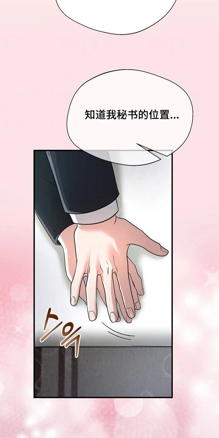 第87章：真的只是凑巧 第41页