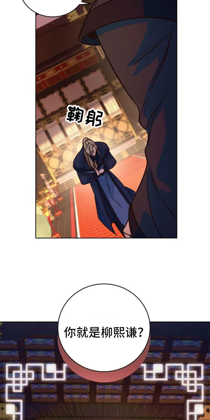 第10章：觐见 第17页