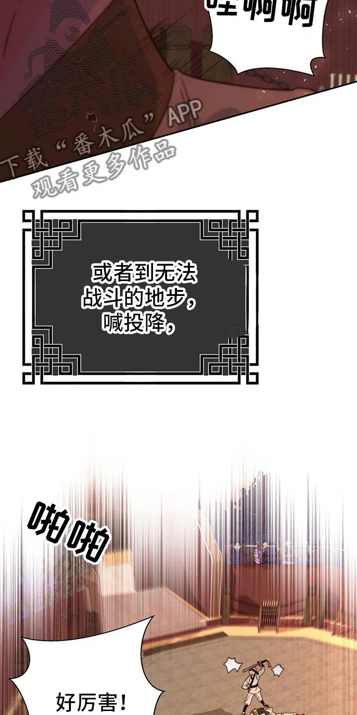 第11章：机会 第37页